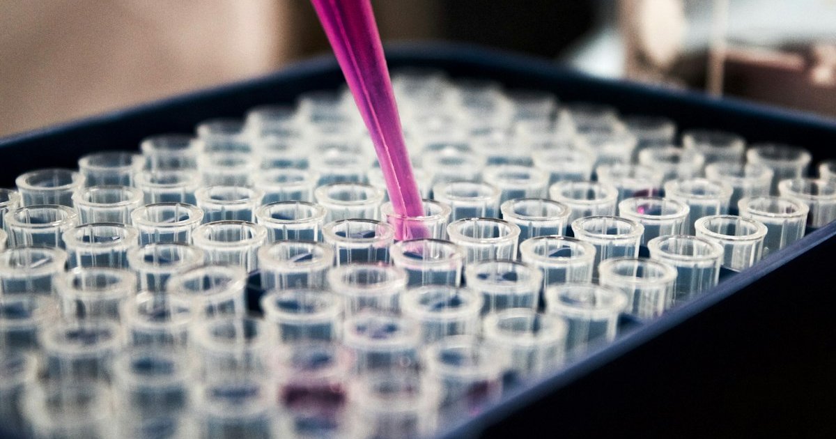 Antimicrobial Resistance (AMR) Action Plan in SEAR: National One Health Roadmap